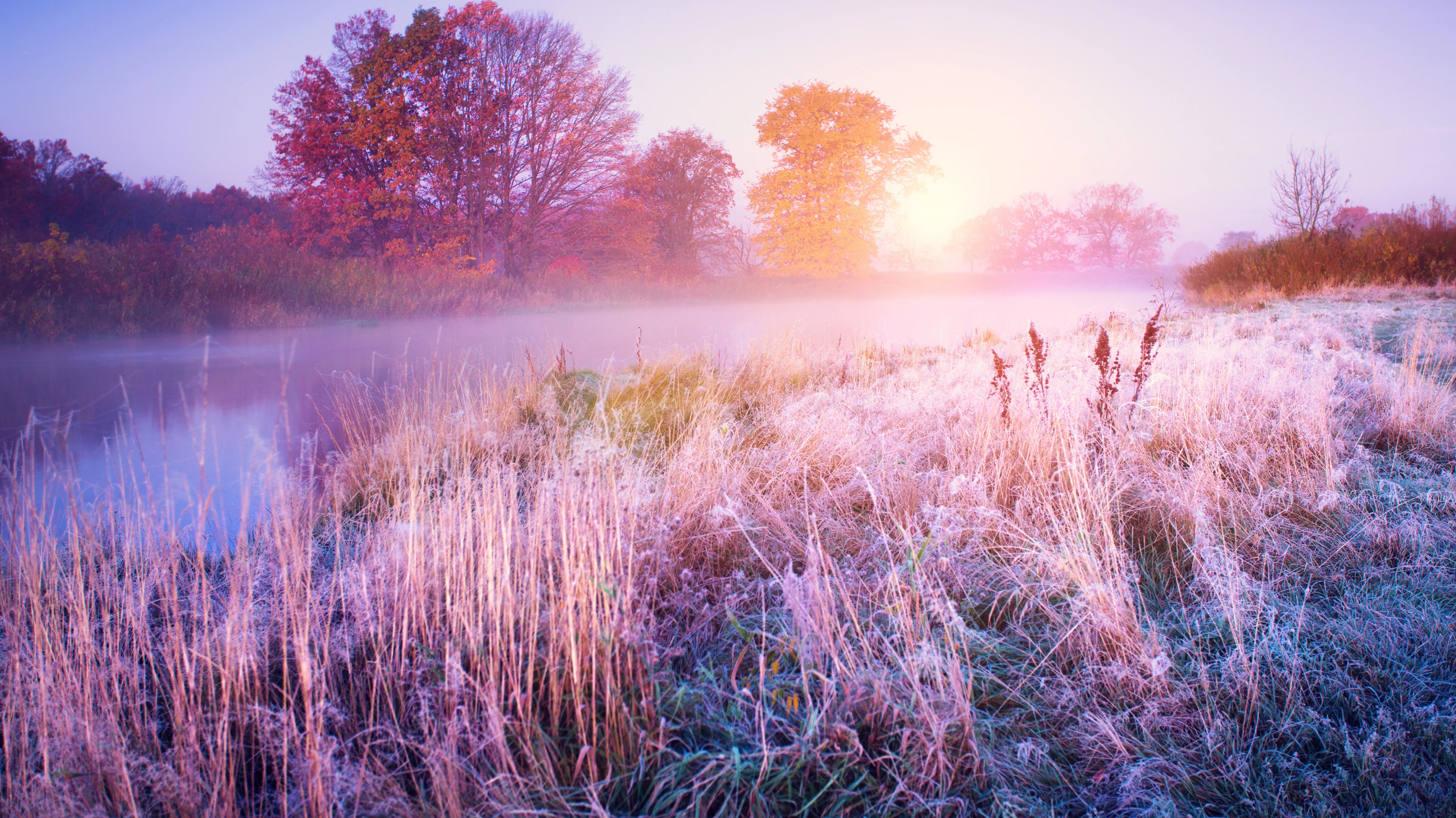 November winter scene